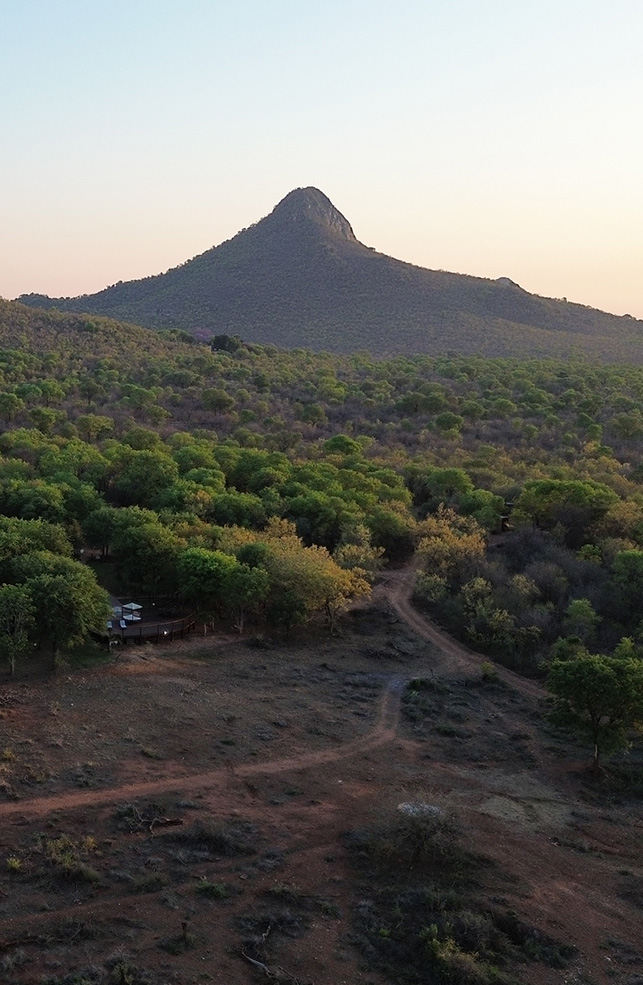 SanWild Sanctuary